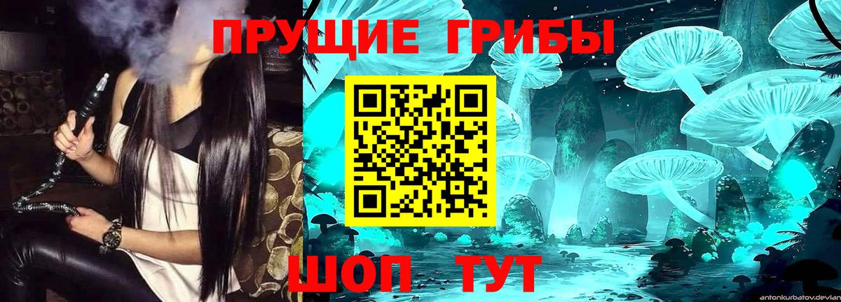 Кудрово  Псилоцибиновые грибы Magic Shrooms  Вход с VPN 