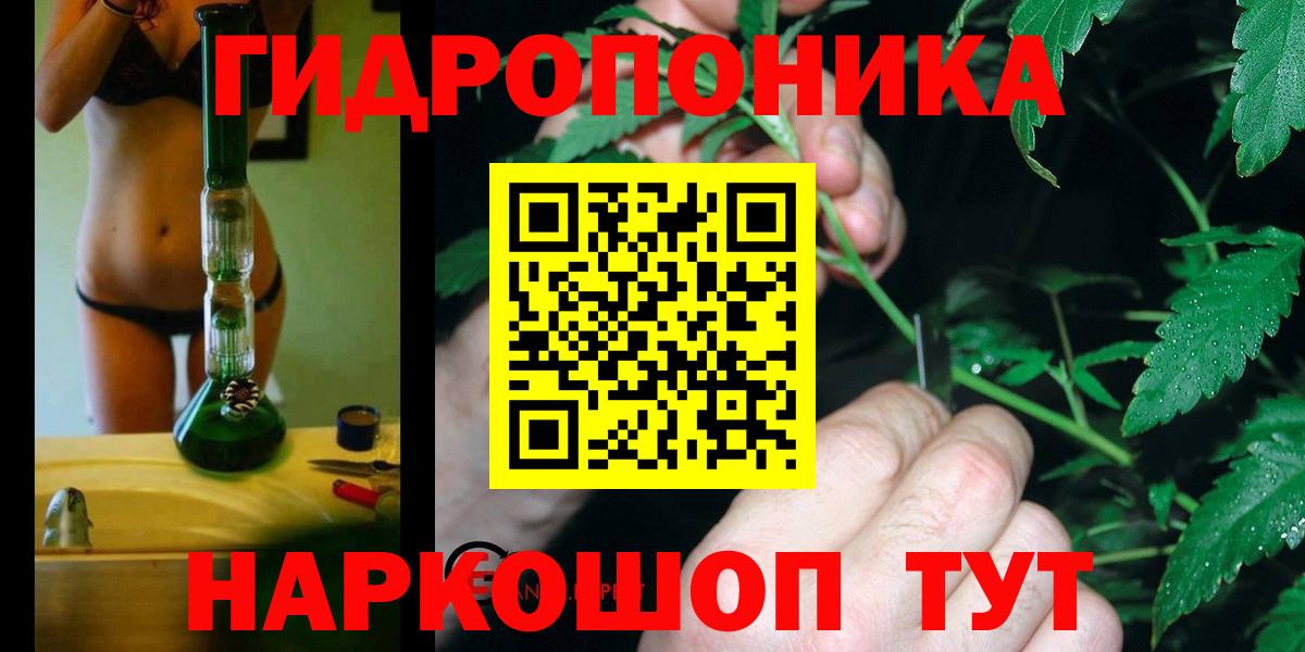 Кудрово  Каннабис Amnesia  Бошки марихуана конопля  Конопля план  Вход с VPN  Каннабис White Widow 